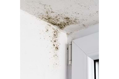 Rutubet ve Küf Nasıl Önlenir? Evde Kesin ve Kalıcı Çözüm Yöntemleri