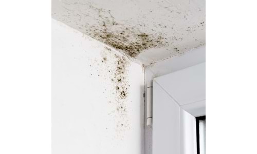 Rutubet ve Küf Nasıl Önlenir? Evde Kesin ve Kalıcı Çözüm Yöntemleri