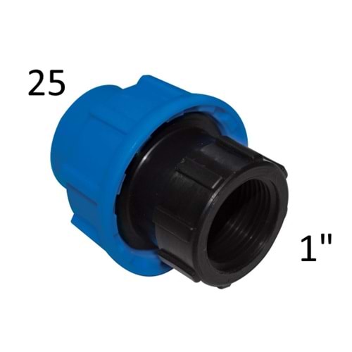 KAPLİN İÇ DİŞLİ ADAPTÖR 25*1