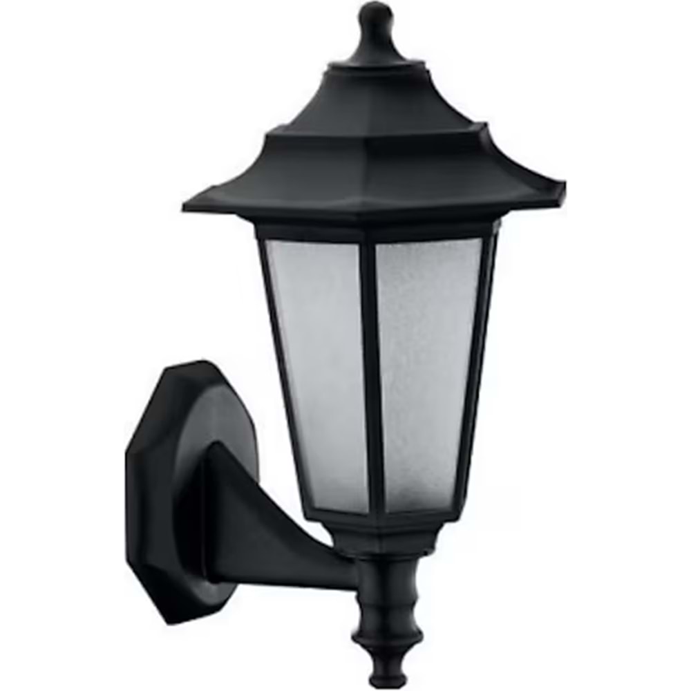 HOROZ BEGONYA-2 DİRSEKLİ