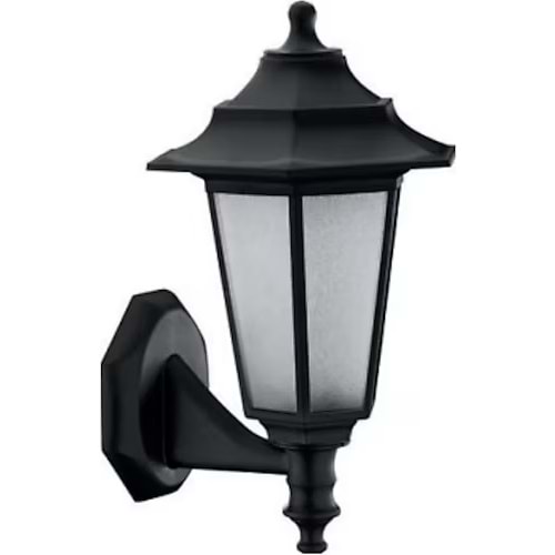 HOROZ BEGONYA-2 DİRSEKLİ