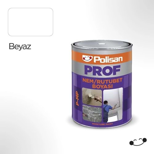 POLİSAN PROF P-MP NEM BOYASI 1 KG